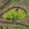 Ben Turner's Photo