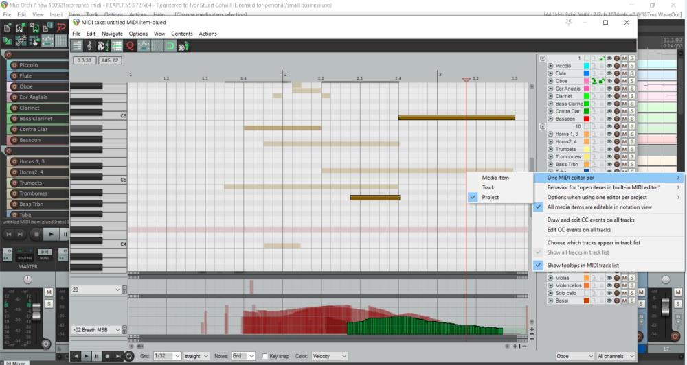 Reaper midi editor.jpg